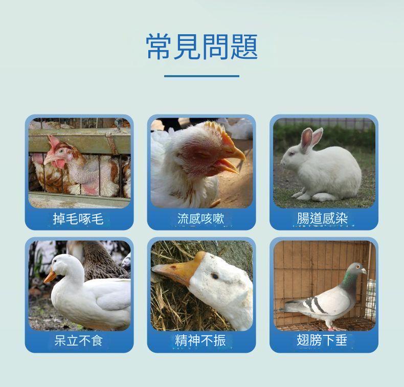 1754411270551096.jpg 6a8c999ac0084bf7adc751eb5b2700fb.jpg