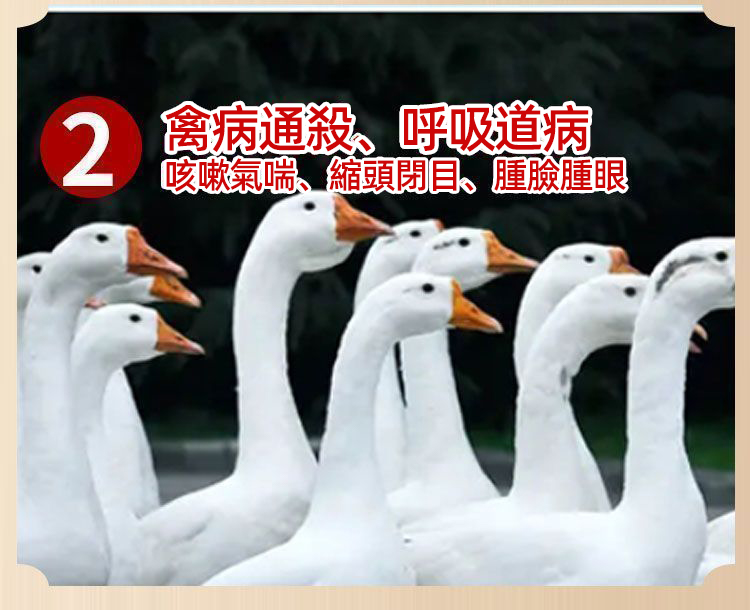 1754411319353211.jpg a9e44df578e705e87fbbcb40d008c8cb.jpg