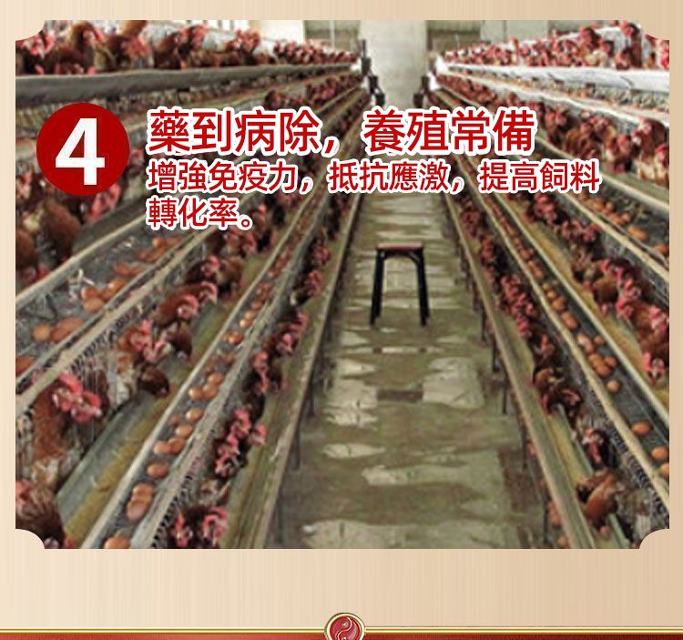 1754411327389362.jpg 68f024908aa8634a191c719524c1504d.jpg